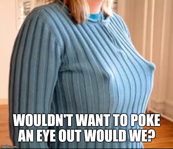 WOULDN'T WANT TO POKE AN EYE OUT WOULD WE? | made w/ Imgflip meme maker