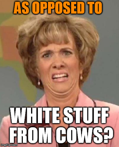 Disgusted Kristin Wiig | AS OPPOSED TO WHITE STUFF FROM COWS? | image tagged in disgusted kristin wiig | made w/ Imgflip meme maker