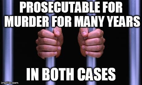 Prison Bars | PROSECUTABLE FOR MURDER FOR MANY YEARS IN BOTH CASES | image tagged in prison bars | made w/ Imgflip meme maker