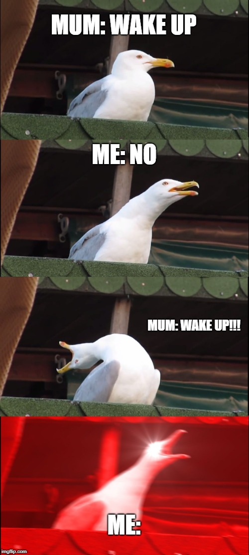 me in the morning | MUM: WAKE UP; ME: NO; MUM: WAKE UP!!! ME: | image tagged in memes,inhaling seagull | made w/ Imgflip meme maker