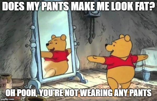 Happy Pooh Bear | DOES MY PANTS MAKE ME LOOK FAT? OH POOH, YOU'RE NOT WEARING ANY PANTS | image tagged in happy pooh bear | made w/ Imgflip meme maker