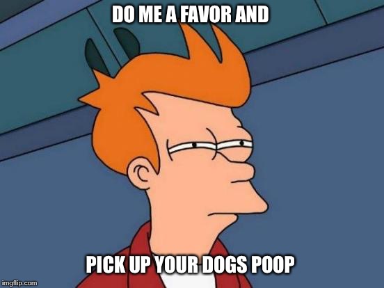 Futurama Fry Meme | DO ME A FAVOR AND; PICK UP YOUR DOGS POOP | image tagged in memes,futurama fry | made w/ Imgflip meme maker