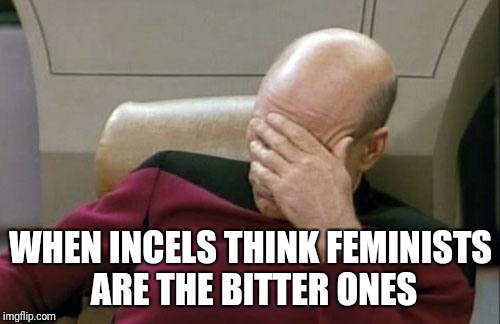 Captain Picard Facepalm Meme | WHEN INCELS THINK FEMINISTS ARE THE BITTER ONES | image tagged in memes,captain picard facepalm | made w/ Imgflip meme maker