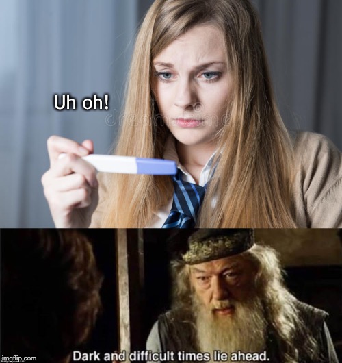 You don't say! | Uh oh! | image tagged in memes,pregnant,funny,lord of the rings | made w/ Imgflip meme maker
