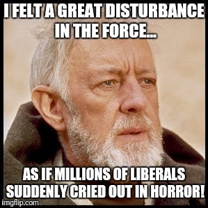 I FELT A GREAT DISTURBANCE IN THE FORCE... AS IF MILLIONS OF LIBERALS SUDDENLY CRIED OUT IN HORROR! | made w/ Imgflip meme maker