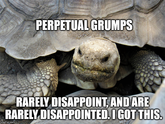 grumpy tortoise | PERPETUAL GRUMPS RARELY DISAPPOINT, AND ARE RARELY DISAPPOINTED. I GOT THIS. | image tagged in grumpy tortoise | made w/ Imgflip meme maker