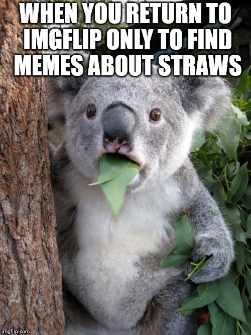 What did i miss about straws? |  WHEN YOU RETURN TO IMGFLIP ONLY TO FIND MEMES ABOUT STRAWS | image tagged in memes,surprised koala,straw,straws,california | made w/ Imgflip meme maker