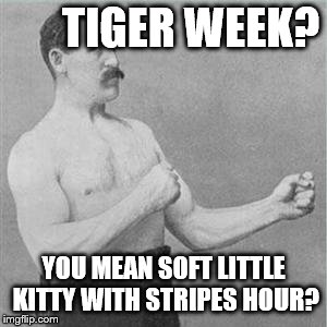 Tiger Week for tough guy | TIGER WEEK? YOU MEAN SOFT LITTLE KITTY WITH STRIPES HOUR? | image tagged in boxer,tiger week 2018,tiger week,kitty,feline | made w/ Imgflip meme maker