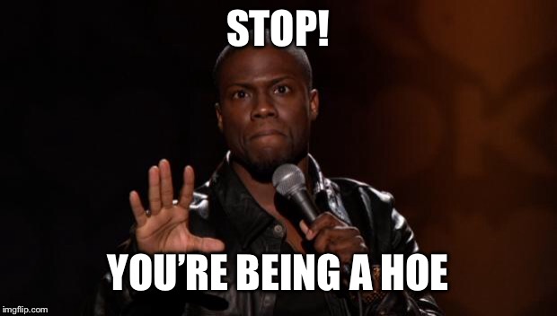 Stop Kevin Hart | STOP! YOU’RE BEING A HOE | image tagged in stop kevin hart | made w/ Imgflip meme maker