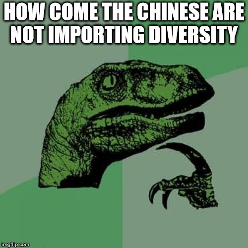 Philosoraptor Meme | HOW COME THE CHINESE ARE NOT IMPORTING DIVERSITY | image tagged in memes,philosoraptor | made w/ Imgflip meme maker