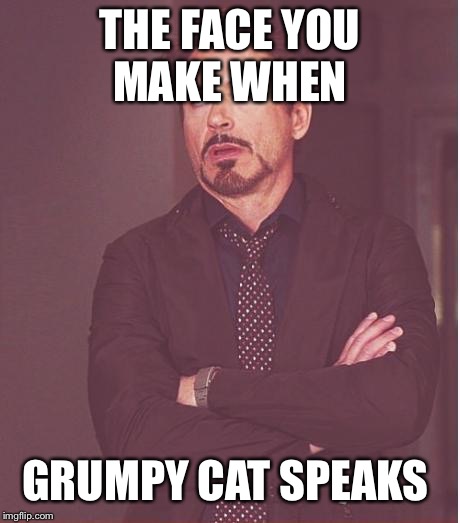 Face You Make Robert Downey Jr Meme | THE FACE YOU MAKE WHEN GRUMPY CAT SPEAKS | image tagged in memes,face you make robert downey jr | made w/ Imgflip meme maker