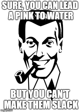 Praise "Bob" | SURE, YOU CAN LEAD A PINK TO WATER; BUT YOU CAN'T MAKE THEM SLACK | image tagged in praise bob | made w/ Imgflip meme maker