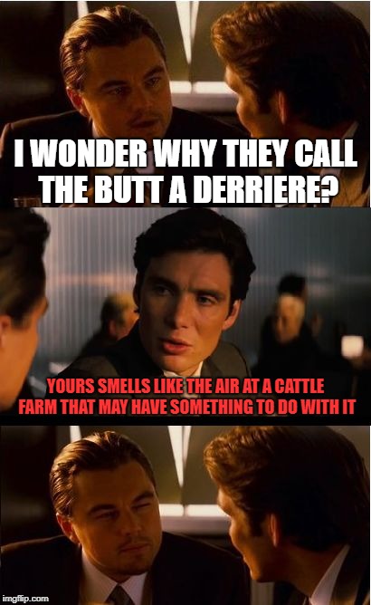 Inception Meme | I WONDER WHY THEY CALL THE BUTT A DERRIERE? YOURS SMELLS LIKE THE AIR AT A CATTLE FARM THAT MAY HAVE SOMETHING TO DO WITH IT | image tagged in memes,inception | made w/ Imgflip meme maker