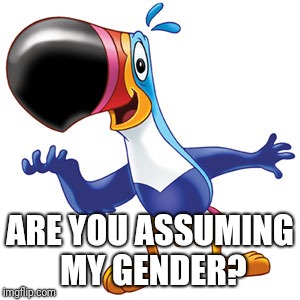 Toucan sam | ARE YOU ASSUMING MY GENDER? | image tagged in toucan sam | made w/ Imgflip meme maker