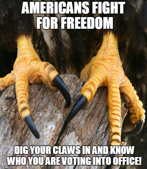 AMERICAN EAGLE CLAWS | AMERICANS FIGHT FOR FREEDOM; DIG YOUR CLAWS IN AND KNOW WHO YOU ARE VOTING INTO OFFICE! | image tagged in bald eagle,americans,vote,claws,voting | made w/ Imgflip meme maker