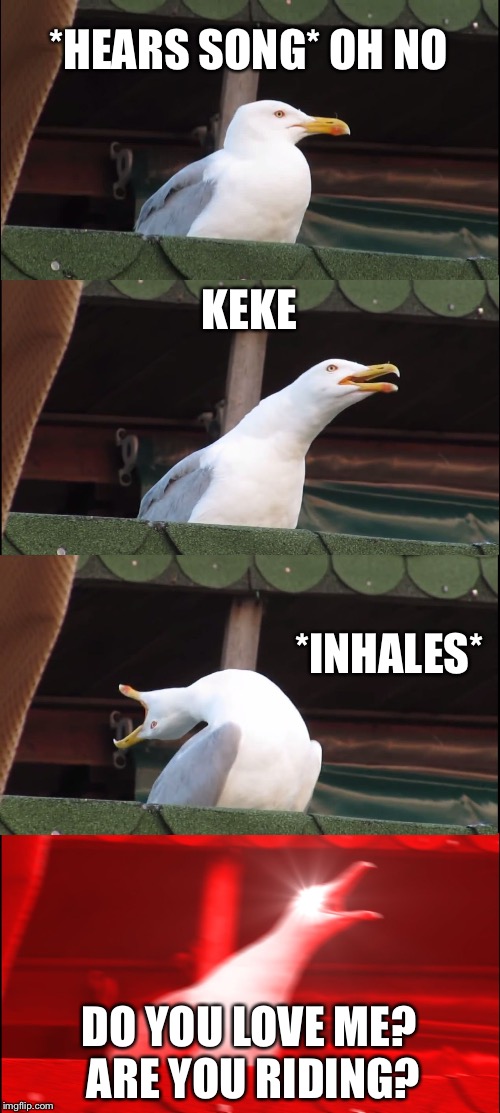 Inhaling Seagull | *HEARS SONG* OH NO; KEKE; *INHALES*; DO YOU LOVE ME? ARE YOU RIDING? | image tagged in memes,inhaling seagull | made w/ Imgflip meme maker