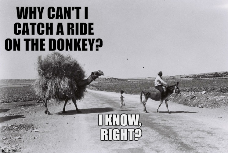 WHY CAN'T I CATCH A RIDE ON THE DONKEY? I KNOW, RIGHT? | made w/ Imgflip meme maker