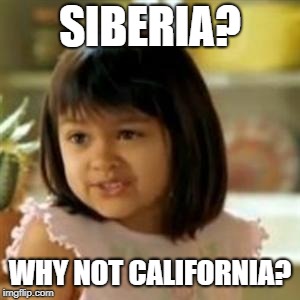 Why not both? | SIBERIA? WHY NOT CALIFORNIA? | image tagged in why not both | made w/ Imgflip meme maker