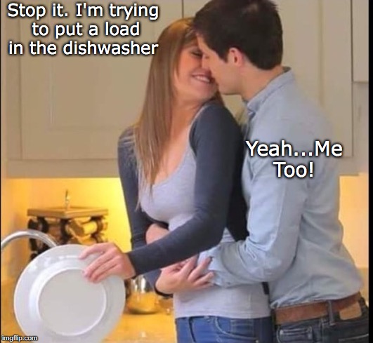 Happy Housework | Stop it. I'm trying to put a load in the dishwasher; Yeah...Me Too! | image tagged in couple talking,dishwasher | made w/ Imgflip meme maker