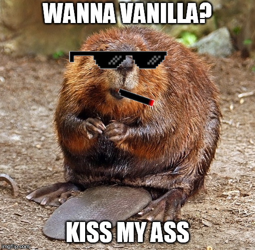 Taste of vanilla | WANNA VANILLA? KISS MY ASS | image tagged in vanilla,leave it to beaver | made w/ Imgflip meme maker