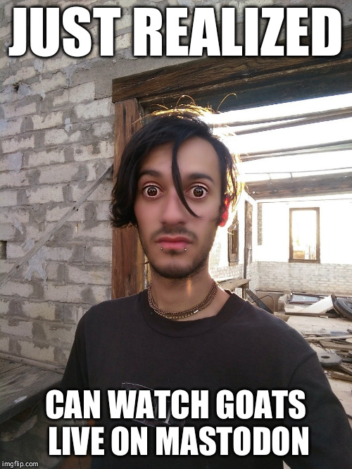 JUST REALIZED; CAN WATCH GOATS LIVE ON MASTODON | image tagged in just realized | made w/ Imgflip meme maker