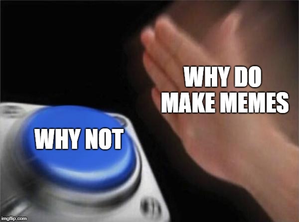 Blank Nut Button Meme | WHY DO MAKE MEMES; WHY NOT | image tagged in memes,blank nut button | made w/ Imgflip meme maker