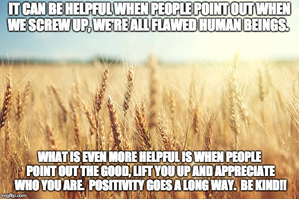 Wheat field | IT CAN BE HELPFUL WHEN PEOPLE POINT OUT WHEN WE SCREW UP, WE'RE ALL FLAWED HUMAN BEINGS. WHAT IS EVEN MORE HELPFUL IS WHEN PEOPLE POINT OUT THE GOOD, LIFT YOU UP AND APPRECIATE WHO YOU ARE.

POSITIVITY GOES A LONG WAY.

BE KIND!! | image tagged in wheat field | made w/ Imgflip meme maker