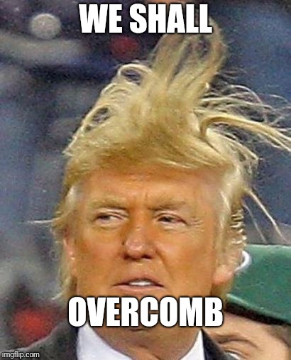 trump hair | WE SHALL; OVERCOMB | image tagged in trump hair | made w/ Imgflip meme maker