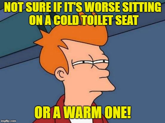 Toilet Humour | NOT SURE IF IT'S WORSE SITTING ON A COLD TOILET SEAT; OR A WARM ONE! | image tagged in memes,futurama fry | made w/ Imgflip meme maker