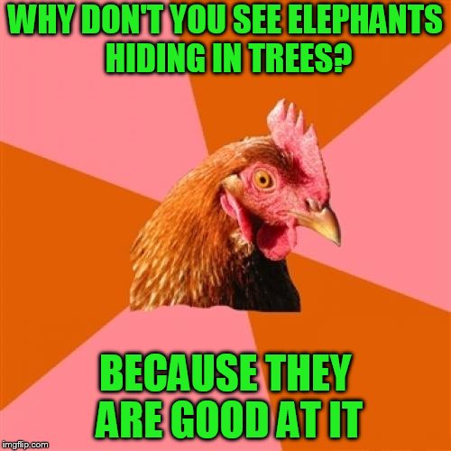 Anti Joke Chicken Meme | WHY DON'T YOU SEE ELEPHANTS HIDING IN TREES? BECAUSE THEY ARE GOOD AT IT | image tagged in memes,anti joke chicken | made w/ Imgflip meme maker