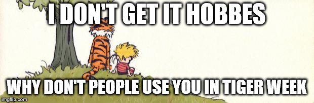Tiger Week | I DON'T GET IT HOBBES; WHY DON'T PEOPLE USE YOU IN TIGER WEEK | image tagged in calvin  hobbes,tiger week 2018,hobbes,comics,calvin and hobbes | made w/ Imgflip meme maker