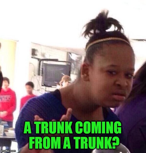 Black Girl Wat Meme | A TRUNK COMING FROM A TRUNK? | image tagged in memes,black girl wat | made w/ Imgflip meme maker