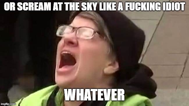 OR SCREAM AT THE SKY LIKE A F**KING IDIOT WHATEVER | made w/ Imgflip meme maker