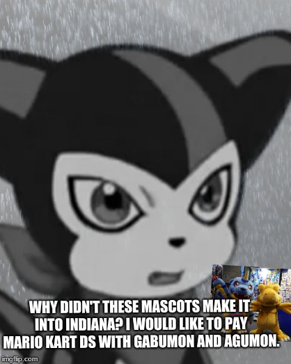 I MENT PLAY!!! | WHY DIDN'T THESE MASCOTS MAKE IT INTO INDIANA? I WOULD LIKE TO PAY MARIO KART DS WITH GABUMON AND AGUMON. | image tagged in first world problems impmon,digimon | made w/ Imgflip meme maker