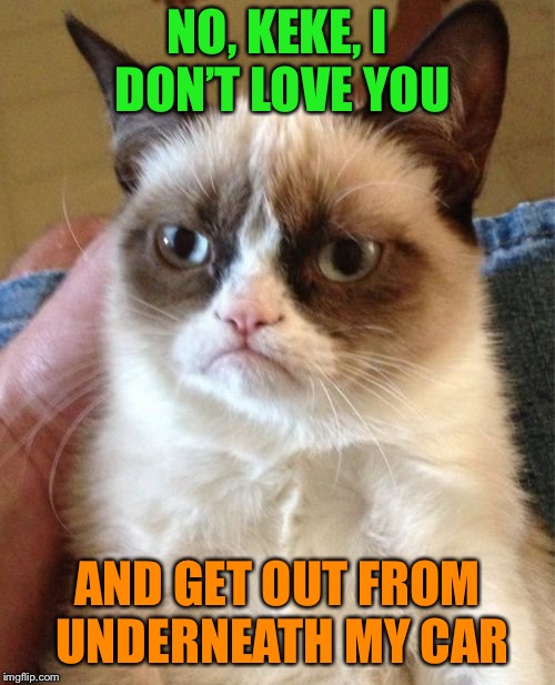 Even grumpy’s not that stupid | NO, KEKE, I DON’T LOVE YOU; AND GET OUT FROM UNDERNEATH MY CAR | image tagged in memes,grumpy cat,stupid,internet,challenge | made w/ Imgflip meme maker