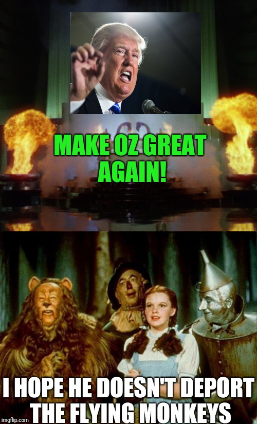 MAKE OZ GREAT AGAIN! I HOPE HE DOESN'T DEPORT THE FLYING MONKEYS | image tagged in trump | made w/ Imgflip meme maker