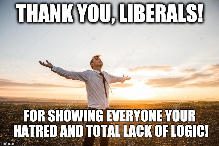 THANK YOU, LIBERALS! FOR SHOWING EVERYONE YOUR HATRED AND TOTAL LACK OF LOGIC! | made w/ Imgflip meme maker