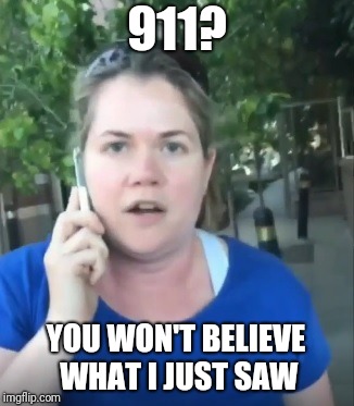 Permit Patty | 911? YOU WON'T BELIEVE WHAT I JUST SAW | image tagged in permit patty | made w/ Imgflip meme maker