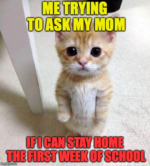I'm going into 10th grade in two days :( | ME TRYING TO ASK MY MOM; IF I CAN STAY HOME THE FIRST WEEK OF SCHOOL | image tagged in memes,cute cat,funny,school,high school,summer | made w/ Imgflip meme maker