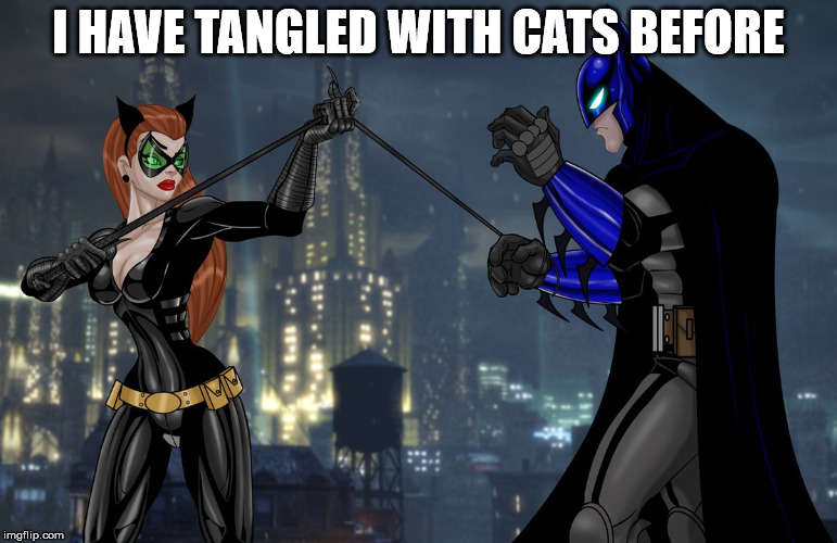 batman vs catwoman | I HAVE TANGLED WITH CATS BEFORE | image tagged in superheroes,batman,catwoman | made w/ Imgflip meme maker