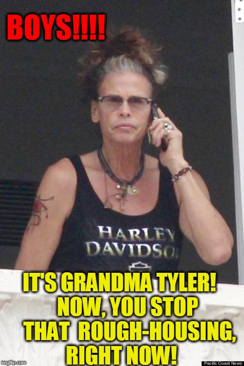 Grandma Tyler | BOYS!!!! IT'S GRANDMA TYLER!    NOW, YOU STOP     THAT 
ROUGH-HOUSING, RIGHT NOW! | image tagged in vince vance,steven tyler,dude looks like a lady,arrowsmith,rock n roll,aging rock stars | made w/ Imgflip meme maker