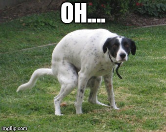 dog pooping intensely | OH.... | image tagged in dog pooping intensely | made w/ Imgflip meme maker
