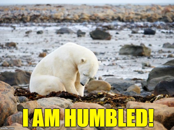 A Polar Bear Gives Thanks | I AM HUMBLED! | image tagged in vince vance,polar bears,animal meme,sad polar bear,animal shows human emotion,arctic circle | made w/ Imgflip meme maker