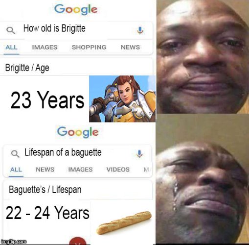 well this should shake up the meta quite a bit | image tagged in overwatch,lifespan,brigitte overwatch,brigitte,memes | made w/ Imgflip meme maker
