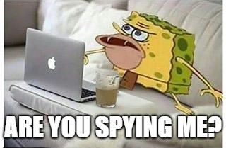 SpongeGar Computer | ARE YOU SPYING ME? | image tagged in spongegar computer | made w/ Imgflip meme maker