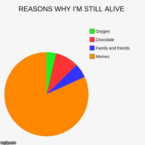 REASONS WHY I'M STILL ALIVE | Memes, Family and friends, Chocolate, Oxygen | image tagged in funny,pie charts | made w/ Imgflip chart maker