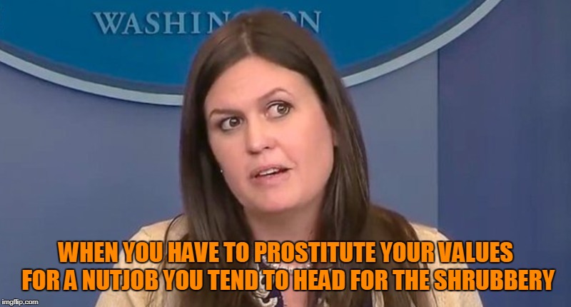WHEN YOU HAVE TO PROSTITUTE YOUR VALUES FOR A NUTJOB YOU TEND TO HEAD FOR THE SHRUBBERY | made w/ Imgflip meme maker