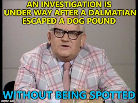 There was only one... :) | AN INVESTIGATION IS UNDER WAY AFTER A DALMATIAN ESCAPED A DOG POUND; WITHOUT BEING SPOTTED | image tagged in ronnie barker news,memes,animals,dogs,dalmatian,escape | made w/ Imgflip meme maker