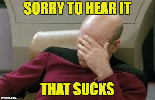Captain Picard Facepalm Meme | SORRY TO HEAR IT THAT SUCKS | image tagged in memes,captain picard facepalm | made w/ Imgflip meme maker
