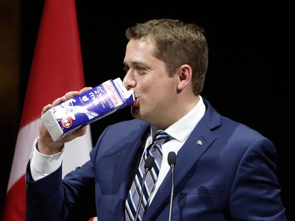 High Quality Andrew Scheer drinking milk like a slob Blank Meme Template